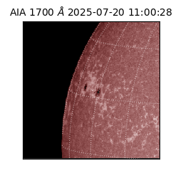 saia - 2025-07-20T11:00:28.710000