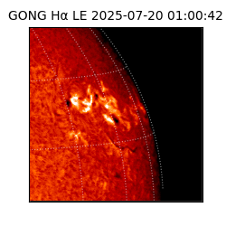 gong - 2025-07-20T01:00:42