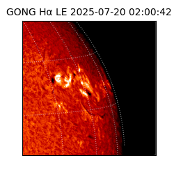 gong - 2025-07-20T02:00:42