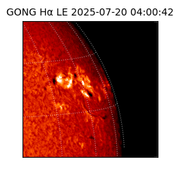 gong - 2025-07-20T04:00:42