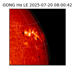 gong - 2025-07-20T08:00:42