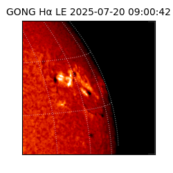 gong - 2025-07-20T09:00:42