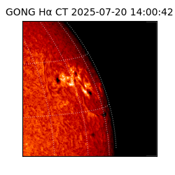 gong - 2025-07-20T14:00:42