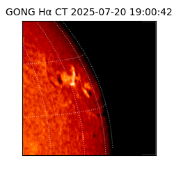 gong - 2025-07-20T19:00:42