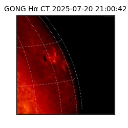 gong - 2025-07-20T21:00:42