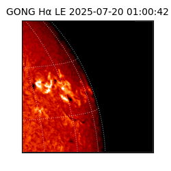 gong - 2025-07-20T01:00:42