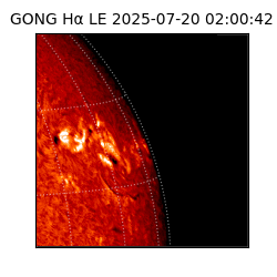 gong - 2025-07-20T02:00:42