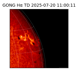 gong - 2025-07-20T11:00:11