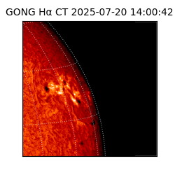 gong - 2025-07-20T14:00:42