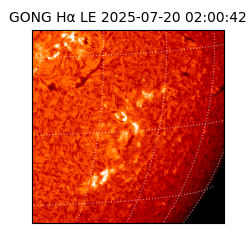 gong - 2025-07-20T02:00:42