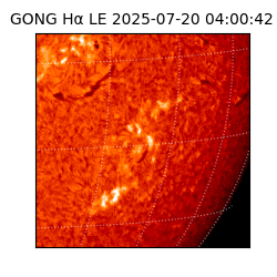 gong - 2025-07-20T04:00:42