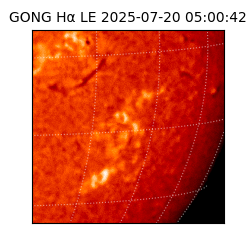 gong - 2025-07-20T05:00:42