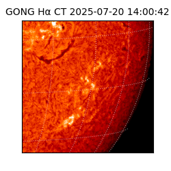 gong - 2025-07-20T14:00:42