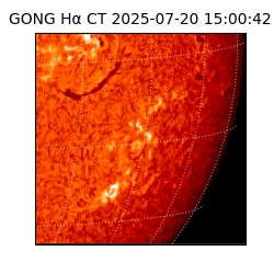 gong - 2025-07-20T15:00:42