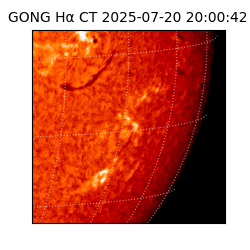 gong - 2025-07-20T20:00:42