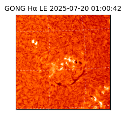 gong - 2025-07-20T01:00:42