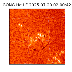 gong - 2025-07-20T02:00:42