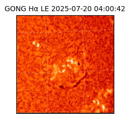 gong - 2025-07-20T04:00:42