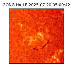 gong - 2025-07-20T05:00:42