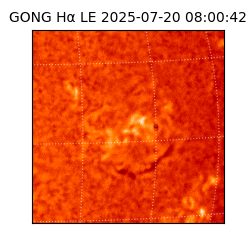 gong - 2025-07-20T08:00:42