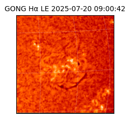 gong - 2025-07-20T09:00:42