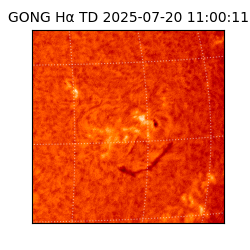 gong - 2025-07-20T11:00:11