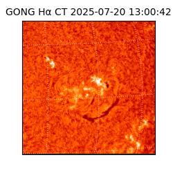 gong - 2025-07-20T13:00:42