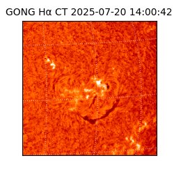 gong - 2025-07-20T14:00:42