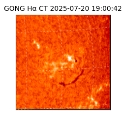 gong - 2025-07-20T19:00:42