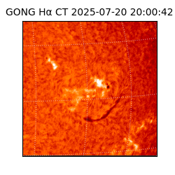 gong - 2025-07-20T20:00:42