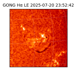 gong - 2025-07-20T23:52:42