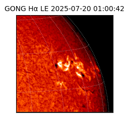 gong - 2025-07-20T01:00:42