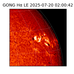 gong - 2025-07-20T02:00:42