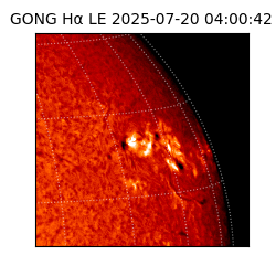 gong - 2025-07-20T04:00:42