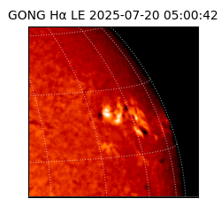 gong - 2025-07-20T05:00:42