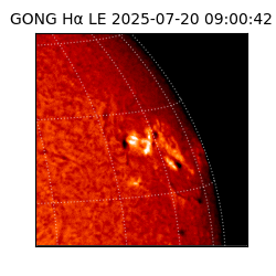 gong - 2025-07-20T09:00:42