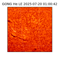 gong - 2025-07-20T01:00:42