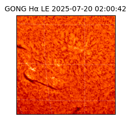 gong - 2025-07-20T02:00:42