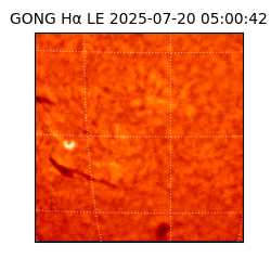 gong - 2025-07-20T05:00:42