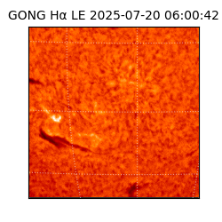 gong - 2025-07-20T06:00:42
