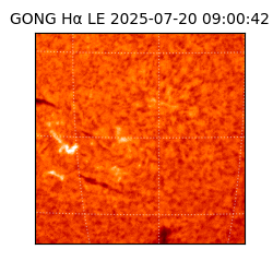 gong - 2025-07-20T09:00:42