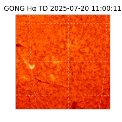 gong - 2025-07-20T11:00:11