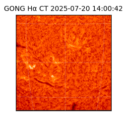 gong - 2025-07-20T14:00:42