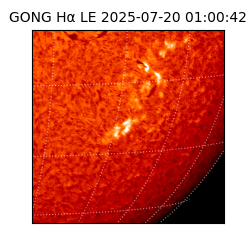 gong - 2025-07-20T01:00:42