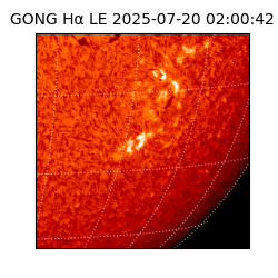 gong - 2025-07-20T02:00:42