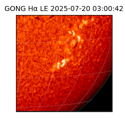 gong - 2025-07-20T03:00:42