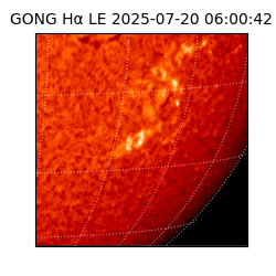 gong - 2025-07-20T06:00:42