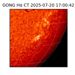 gong - 2025-07-20T17:00:42