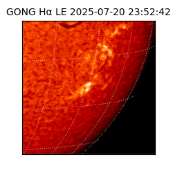 gong - 2025-07-20T23:52:42