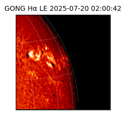 gong - 2025-07-20T02:00:42